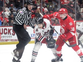 Soo Greyhounds forward Bryce McConnell-Barker and Guelph Storm forward Matthew Poitras battle for position during a face off in Game 5 of the Western Conference quarterfinal series between the two teams. McConnell-Barker picked up two assists as the Hounds earned a 6-0 win. The Hounds won the best-of-seven series 4-1 and move on to the Western Conference semifinal against a yet to be determined opponent.