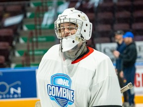 Andrew Gaulton of the Markham Majors.