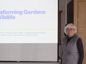 Joan McLaughlin prepares to present Transforming Gardens for Wildlife for the Ripley and District Horticultural Society at the April 20th meeting.