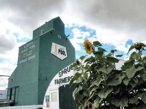 The Spruce Grove and District Agricultural Heritage Society is inviting residents to its formal 50th anniversary celebration on Saturday, May 7, at 3:30 p.m. on the grounds of the Grain Elevator Museum site. File photo.