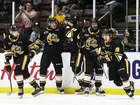 Sarnia Sting's Angus MacDonell (19) celebrates after scoring against the Windsor Spitfires in the first period at Progressive Auto Sales Arena in Sarnia, Ont., on Thursday, April 28, 2022. Mark Malone/Chatham Daily News/Postmedia Network