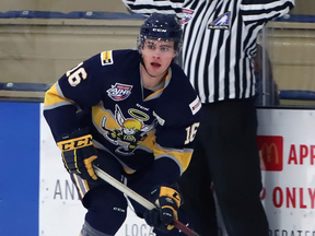 Saints forward Caiden Gault is making waves in the AJHL.
(Courtesy of Spruce Grove Saints)