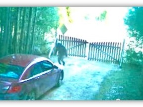West Grey police released this image of a car and suspect after police say the car accellerated at officers and drove through a fence last Sunday, April 17, 2022.