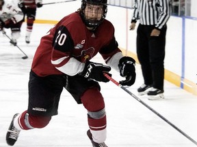Brantford's Luke Bibby and the Cambridge RedHawks are currently in the second round of the Greater Ontario Junior B Hockey League playoffs. Bibby led all Mid-Western Conference rookies in scoring during the regular season with 56 points, scoring 31 goals and adding 25 assists. His 31 goals and 10 game-winning goals were also the most among all first-year players.