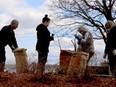 Brockville cleanup