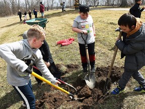 Calvin, Elliott and Dougie, Grade 2 students at Dresden Area Central School, dig a hole for a new tree at Dresden Cemetery April 7, 2022.