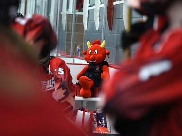 The Seaway Devils mascot seen on the bench during the bronze-medal match against the Blizzard at the 2022 Broomball Canada National Juvenile Championship on Saturday April 16, 2022 in Cornwall, Ont. The Devils won 1-0. Robert Lefebvre/Special to the Cornwall Standard-Freeholder/Postmedia Network