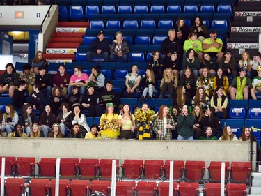 A dominantly green-and-gold fan section at the Charity Cup, on Wednesday April 6, 2022 in Cornwall, Ont. The 'East' end won 6-4. Robert Lefebvre/Special to the Cornwall Standard-Freeholder/Postmedia Network