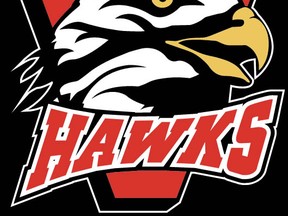 hawks logo
