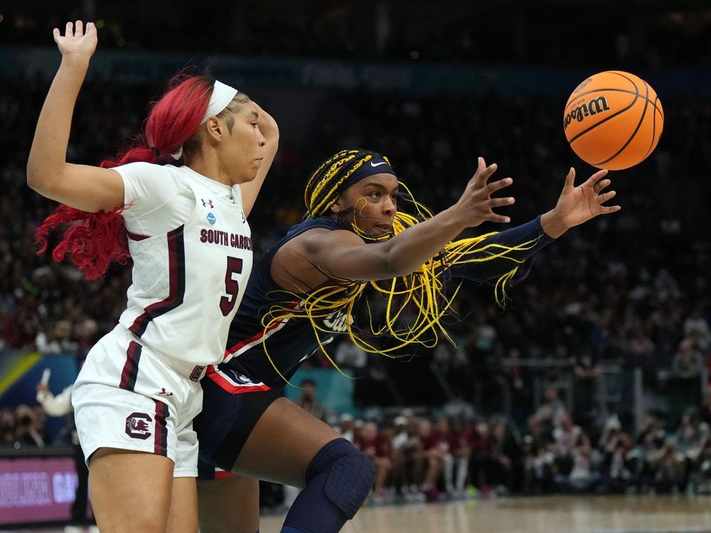 UConn Huskies fall short in NCAA women's basketball final | The ...