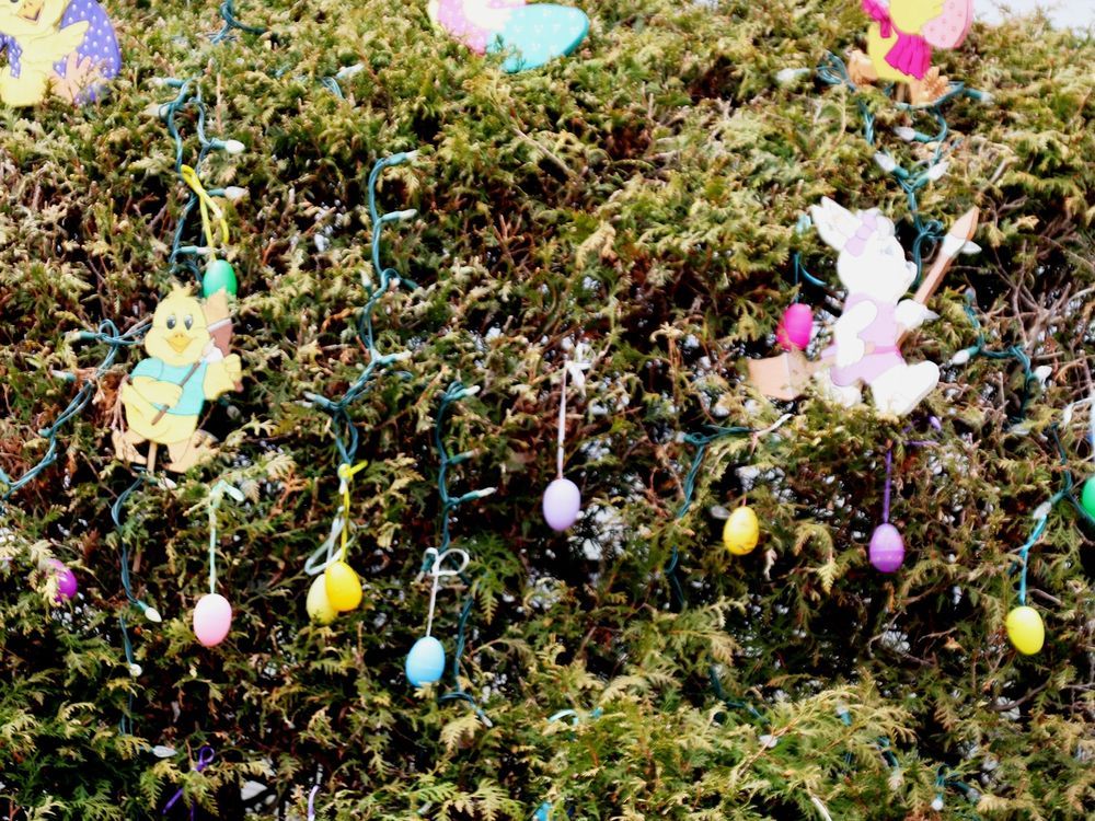 Gananoque decorates to the Easter bunny The Kingston Whig
