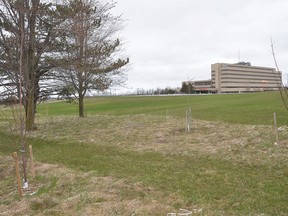 NeighbourWoods North plans to begin the first phase of its Healing Path project on the grounds of the Owen Sound hospital as soon as next week.(files)