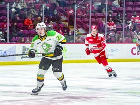 Sault Ste. Marie product Camaryn Baber of the London Knights and Soo Greyhounds defenceman Ryan O'Rourke are among the winners in separate categories of the annual Ontario Hockey League Coaches Poll. BOB DAVIES