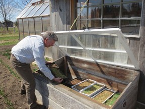 There are many creative options for starting gardens. Here, a constructed box frame sits on the ground with a slightly elevated piece of glass angled to catch sunlight, creating a mini greenhouse.

Supplied