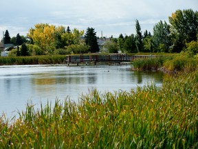 The City of Leduc hopes to plant 750 trees at South Telford Lake this Arbour Day, May 7. (City of Leduc)