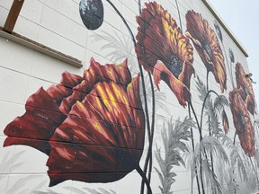A push for more murals in Melfort is gaining traction. The one pictured is a mural by artist Carla Tyacke. Omar Sherif / The Journal