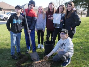Students at Monsignor J.H. O'Neil School in Tillsonburg planted seven trees on Earth Day. CHRIS ABBOTT