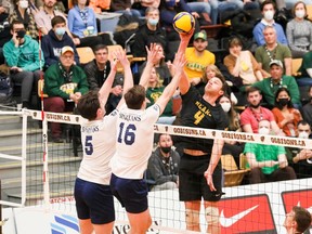 The University of Alberta Golden Bears' Jordan Canham tries to put the ball past  Trinity Western University Spartans defenders Jordan Schnitzer (16) and Brodie Hofer during the U SPORTS Men's Volleyball Championship at  Investors Group Athletic Centre in Winnipeg on Sunday, March 27, 2022. Dave Mahussier/University of Manitoba Athletics