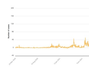 A graph from Government of Ontario's COVID-19 daily case count and spread data drop plots the number of COVID-19 cases in Grey-Bruce each day since the start of the pandemic. Experts believe Ontario is entering a sixth pandemic wave as indicators such as hospitalizations and wastewater surveys show an increase in the virus' spread in recent days. Graph from Ontario.ca