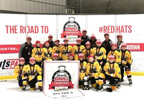 The Shallow Lake Lakers under-11 squad dominated the OMHA Tier 3 championship in Windsor finishing a perfect 6-0 and outscoring opponents 48-11 en route to the gold medal and red hats. Photo supplied.