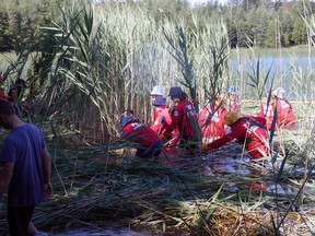 Phrag Fighters tackle tall stands of phragmites in Lake Bernard last year. The group works different sections of the land and lake each year with the hope the area can be phrag-free in about 10 years.
Dan Burton Photo