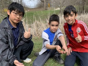 Sebastian Delvalle, 8, gently displays a bullfrog from the pond before returning it to its home. He's joined by cousin Avren Gazi, 9, right and new friend Kedrick Woo, 10.  (BARBARA TAYLOR/Postmedia News)