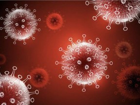 An illustration of the novel coronavirus that causes COVID-19. Getty Images