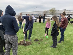 AgMedica employees and their family members worked with the Lower Thames Valley Conservation Authority to plant trees and clean up the property on Riverview Drive April 30. (Handout/Postmedia Network)