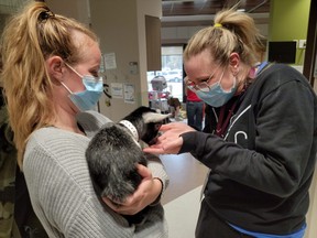 High River District Health Care Foundation (HRDHCF) in collaboration with the community celebrated the 3rd annual Healthcare Heroes Day on May 5.