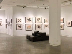 The Kennedy Gallery is ringing in spring with two new print shows, with First Sign of Spring featured in the large gallery. 
Corbin Losereit photo.