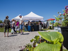 Shoppers pass by a stall of flowers owned by Bonibrae Daylilies and Perennials at the first Wellington Farmers' Market of the season Saturday in Bloomfield, Ontario. ALEX FILIPE