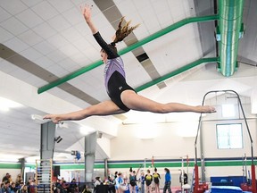In the XCEL Platinum Division, Elissa Battle won the bronze on Beam and was 4th All Around at the the 20th Annual Summit Invite in Canmore.
Nancy Luttrell
