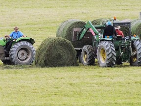 Large farms continue to change the face of the agriculture industry. (File photo)