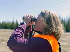 Rhonda Donley, co-coordinator for the Breeding Bird Atlas in the Cochrane region, watches a raven's nest near Highway 11 to determine whether there is evidence of breeding. Donley is one of the leaders of an upcoming bird watching field trip open to the public in Smooth Rock Falls.