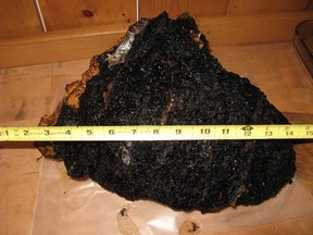 A piece of Chaga George Walters found "a while back."