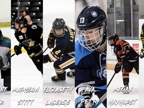 The Nipissing Lakers women’s hockey team have added six new recruits to their lineup.
