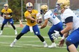 Quarterback Zach Collaros (left) hands off to Brady Oliveira during the first day of Winnipeg Blue Bombers training camp. (Kevin King)