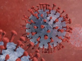 COVID-19 virus. File graphic