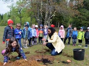 Evergreen Heights Education Centre kindergarten teacher Skye Goulbourne holds one of the apple trees in place while one of her students scoops up soil to ground the tree's roots in place.
Submitted Photo