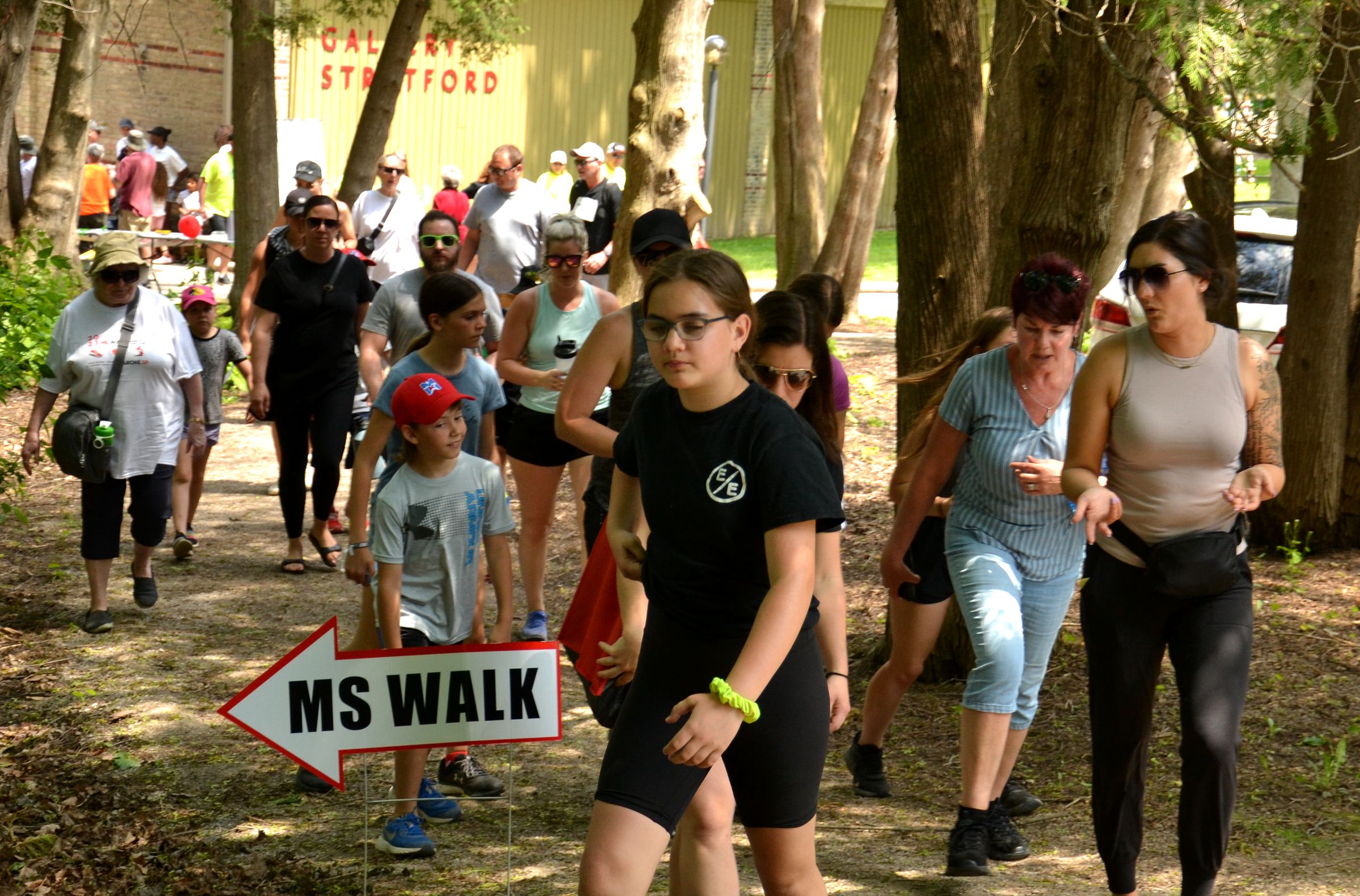 Volunteerrun StratfordPerth MS Walk raises nearly 36,000 (so far