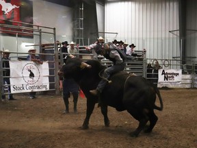 Austin Paley, racked up 73 points with Inner Ninja in junior bull riding on Saturday night.