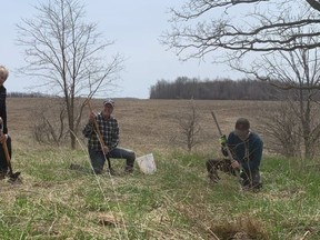 Bill Smith, Pine River Watershed Initiative Network Chair David Grant and Jim Roberton plant seedlings on Concession 12 on Thursday, May 5. Hannah MacLeod/Lucknow Sentinel