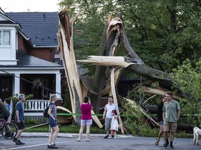 Residents and community members gather to look at a tree that was destroyed during a major storm in Ottawa on Saturday, May 21, 2022. THE CANADIAN PRESS/Justin Tang