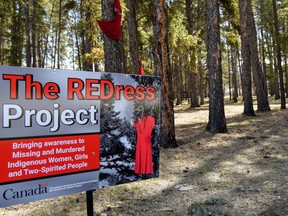 Red Dresses hang from the trees in the park beside Nipawin's Cumberland College to raise awareness for MMIWG2S. Omar Sherif / The Journal