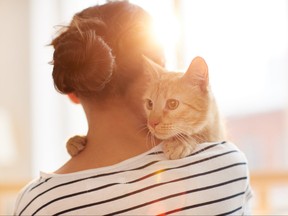 Back view portrait of young woman holding gorgeous ginger cat on shoulder