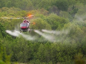 A helicopter sprays insecticide to kill invasive moth caterpillars at Boler Mountain in London in May 2021. Five locations in London will be sprayed this month, including Springbank Park and Thames Valley golf course. (Free Press file photo)