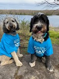 Logan and Monte are the Alzheimer Society of KFL&A's mascots for the May 31 IG Wealth Management Walk for Alzheimer's, which will take place online and on the same day as other Alzheimer groups across Canada for the first time. (Submitted Photo)