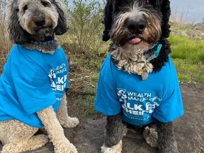 Logan and Monte are the Alzheimer Society of KFL&A's mascots for the May 31 IG Wealth Management Walk for Alzheimer's, which will take place online and on the same day as other Alzheimer groups across Canada for the first time. (Submitted Photo)