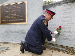 Brantford Police Chief Rob Davis places a rose at the Provincial Police Memorial in Toronto in honour of Const. John Hickey on Sunday. Hickey died June 29, 1897, after suffering for two years the pain and debilitating injuries he suffered on July 18, 1895. His line of duty death went unrecognized for more than 100 years. Submitted