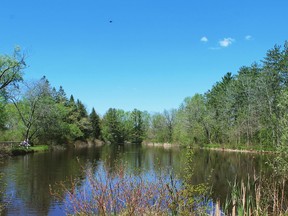 Brant County will hold a community event on June 4 at the Mount Pleasant Nature Park to celebrate the Queen's Platinum Jubilee. Submitted